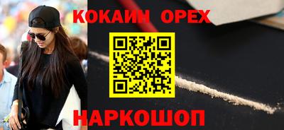 крисы Можга