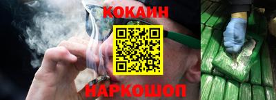 крисы Можга