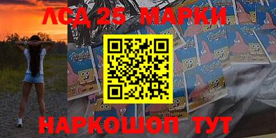 крисы Можга