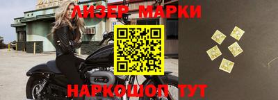 крисы Можга