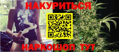 крисы Можга