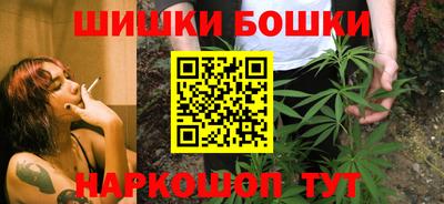 крисы Можга