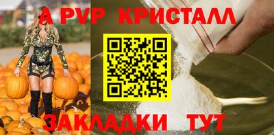 крисы Можга