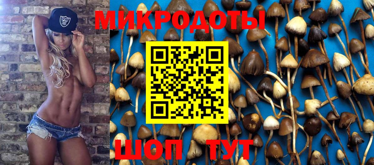 Псилоцибиновые грибы Psilocybine cubensis  Вход с VPN  Будённовск 